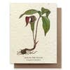 Plantable Greeting Card {Small Victories}