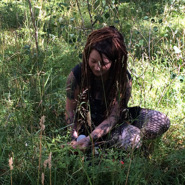 Botanical Field Immersion: Plant ID, Honorable Harvest & Remedy Making / July 13th