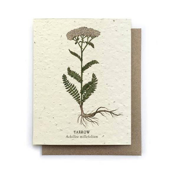 Plantable Greeting Card {Small Victories}