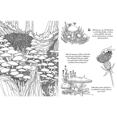 Fantastic Fungi: the Coloring Book