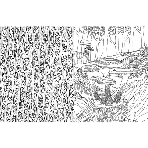Fantastic Fungi: the Coloring Book