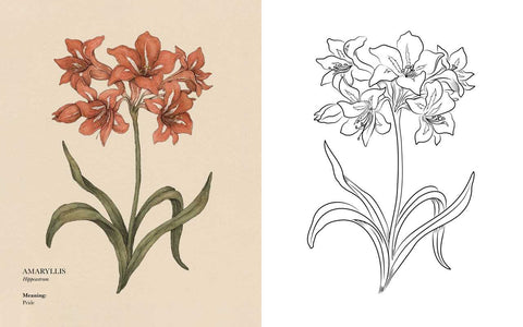 Floriography Coloring Book by Jessica  Roux