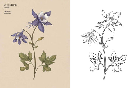 Floriography Coloring Book by Jessica  Roux