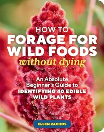 How to Forage Wild Foods Without Dying