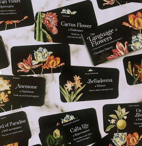 The Language of Flowers: Mini Inspiration Cards