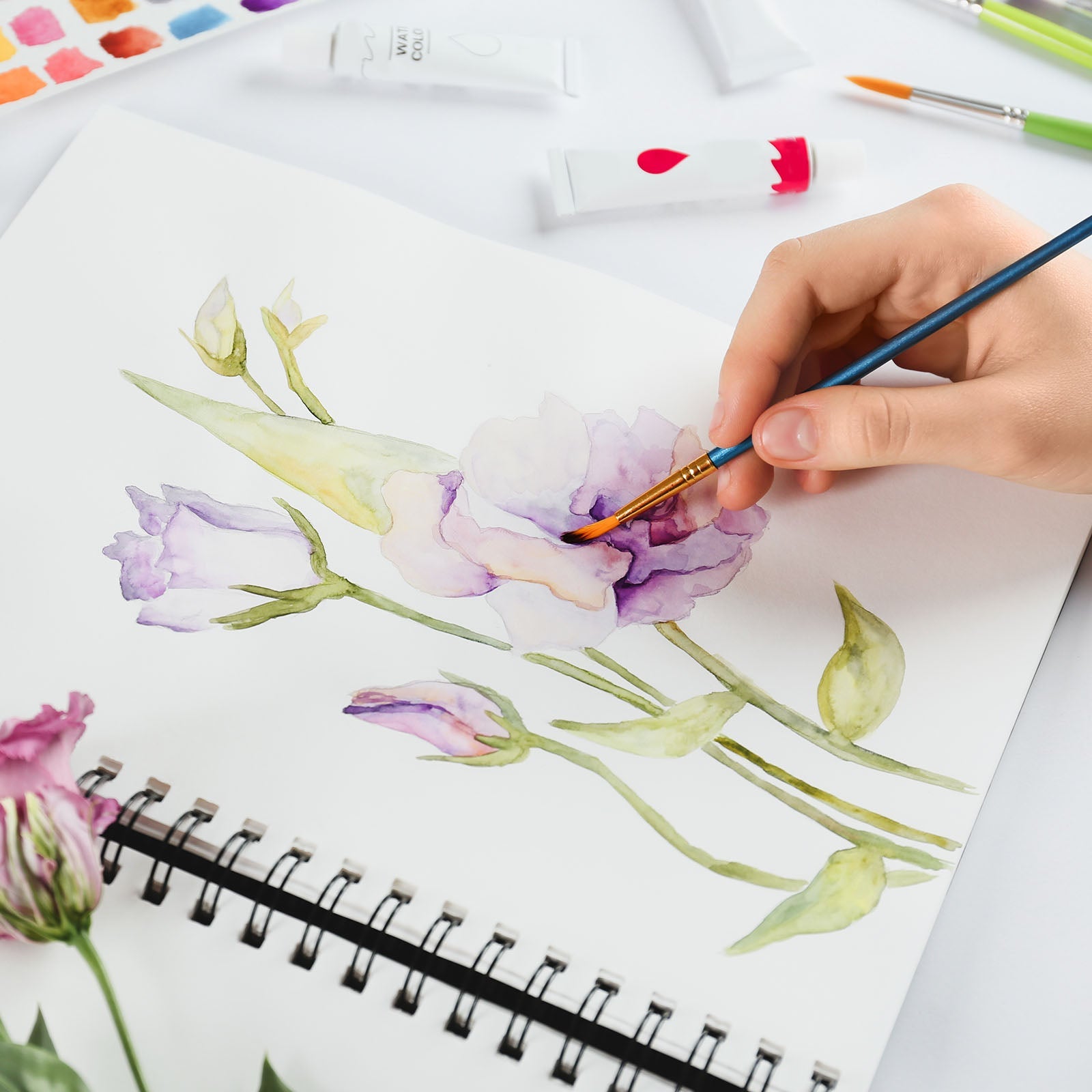 Introduction to Botanical Art / April 22nd