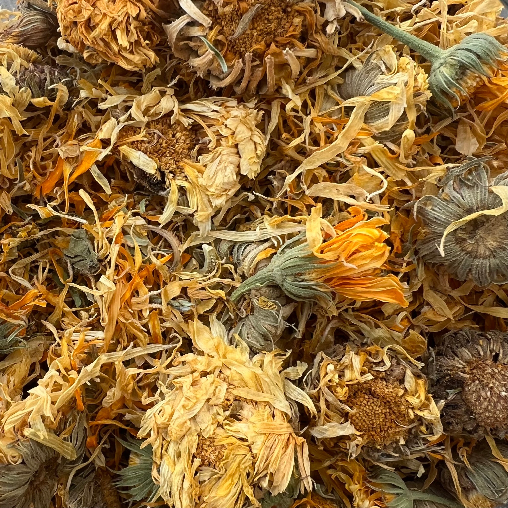 Calendula Flowers