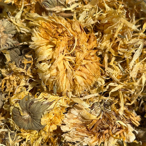 Calendula Flowers