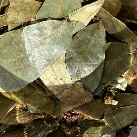 Soursop