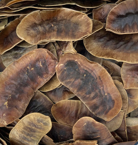 Senna Pods