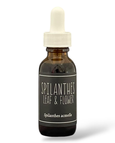 Spilanthes Tincture