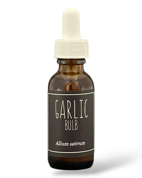 Garlic Tincture