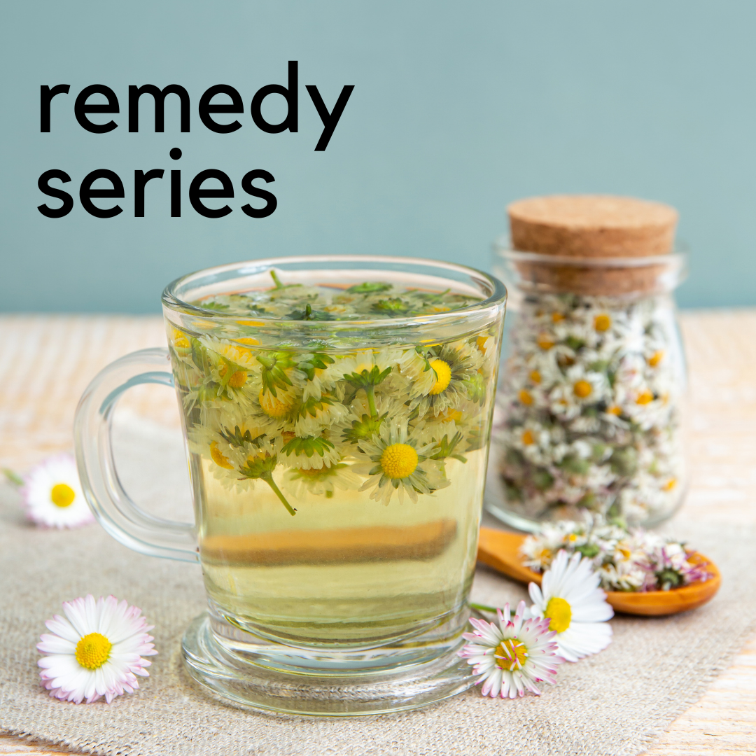 Remedy Series: Herbs for Digestion / February 8th