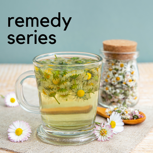 Remedy Series: Herbs for Digestion / February 8th