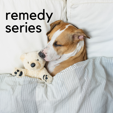 Remedy Series: Herbs for Sleep / February 22nd