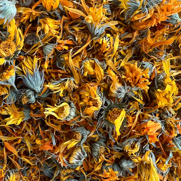 Calendula Flowers