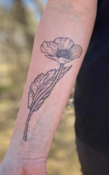 Nature Tats Temporary Tattoos