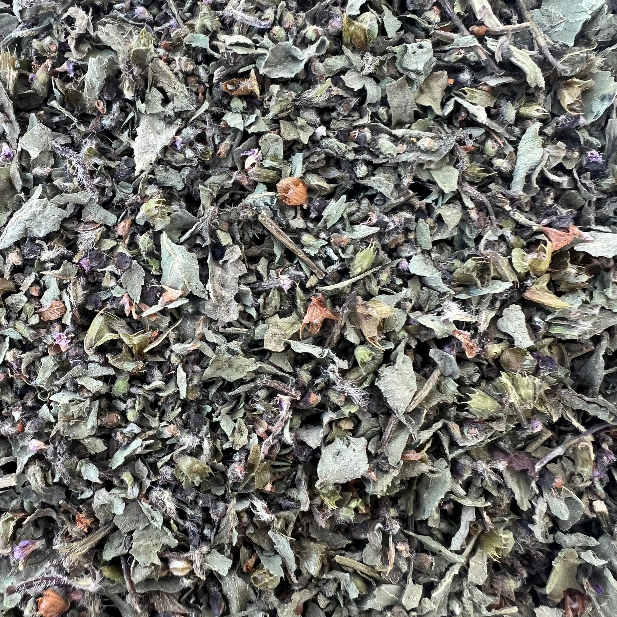 Holy Basil (Tulsi)