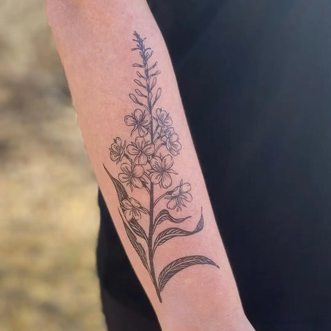 Nature Tats Temporary Tattoos