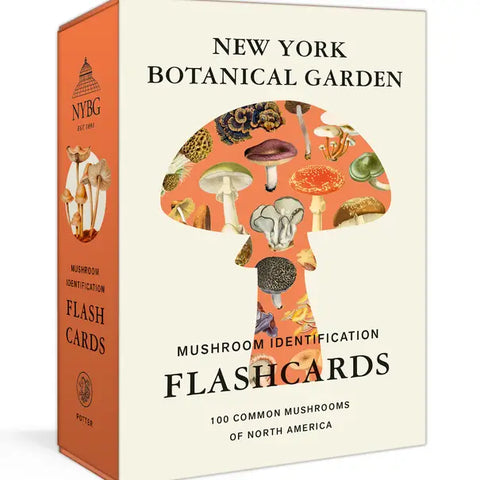 Mushroom Identification Flashcards