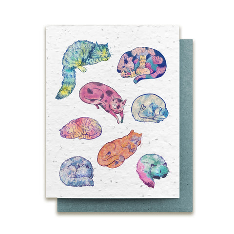 Plantable Greeting Card {Small Victories}