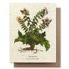 Plantable Greeting Card {Small Victories}