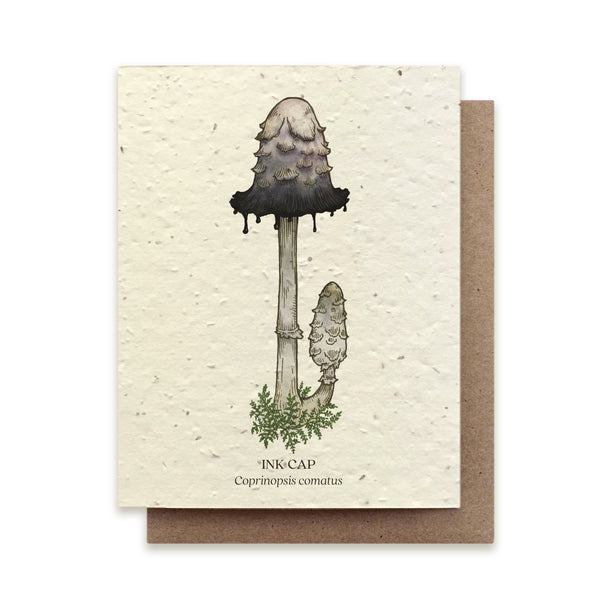 Plantable Greeting Card {The Bower Studio}