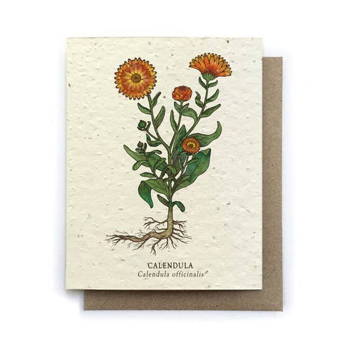 Plantable Greeting Card {Small Victories}