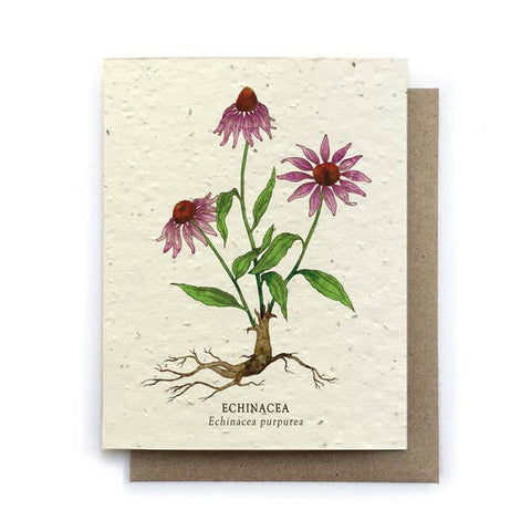 Plantable Greeting Card {Small Victories}