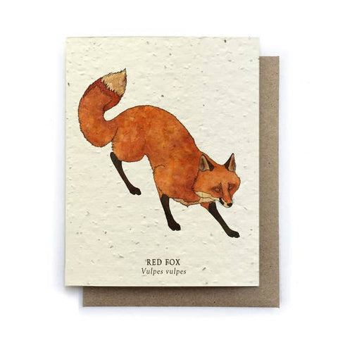 Plantable Greeting Card {Small Victories}