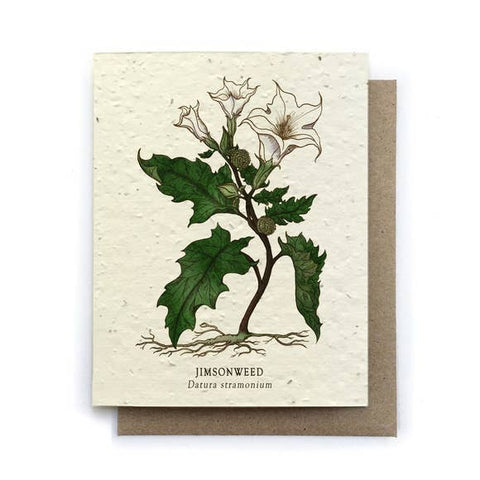 Plantable Greeting Card {Small Victories}