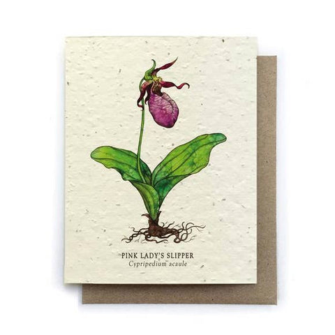 Plantable Greeting Card {Small Victories}
