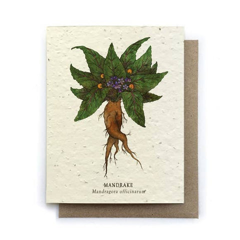 Plantable Greeting Card {Small Victories}