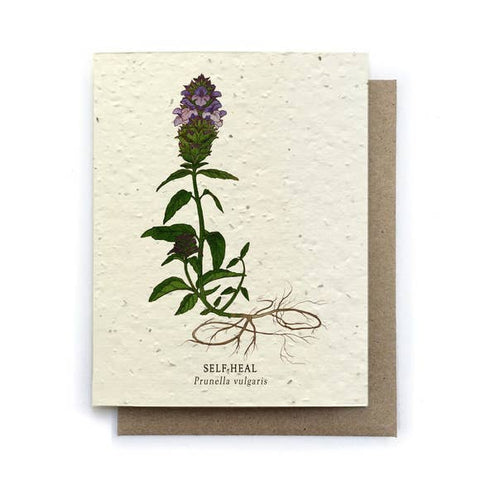 Plantable Greeting Card {Small Victories}
