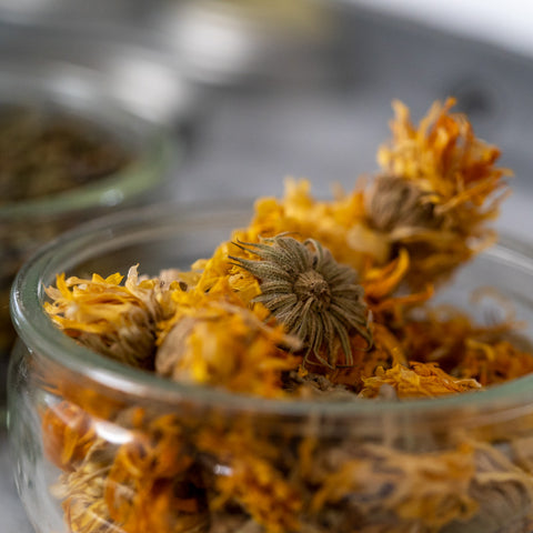 Herbal Infused Oils Free Mini Workshop