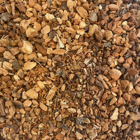 Birch Bark