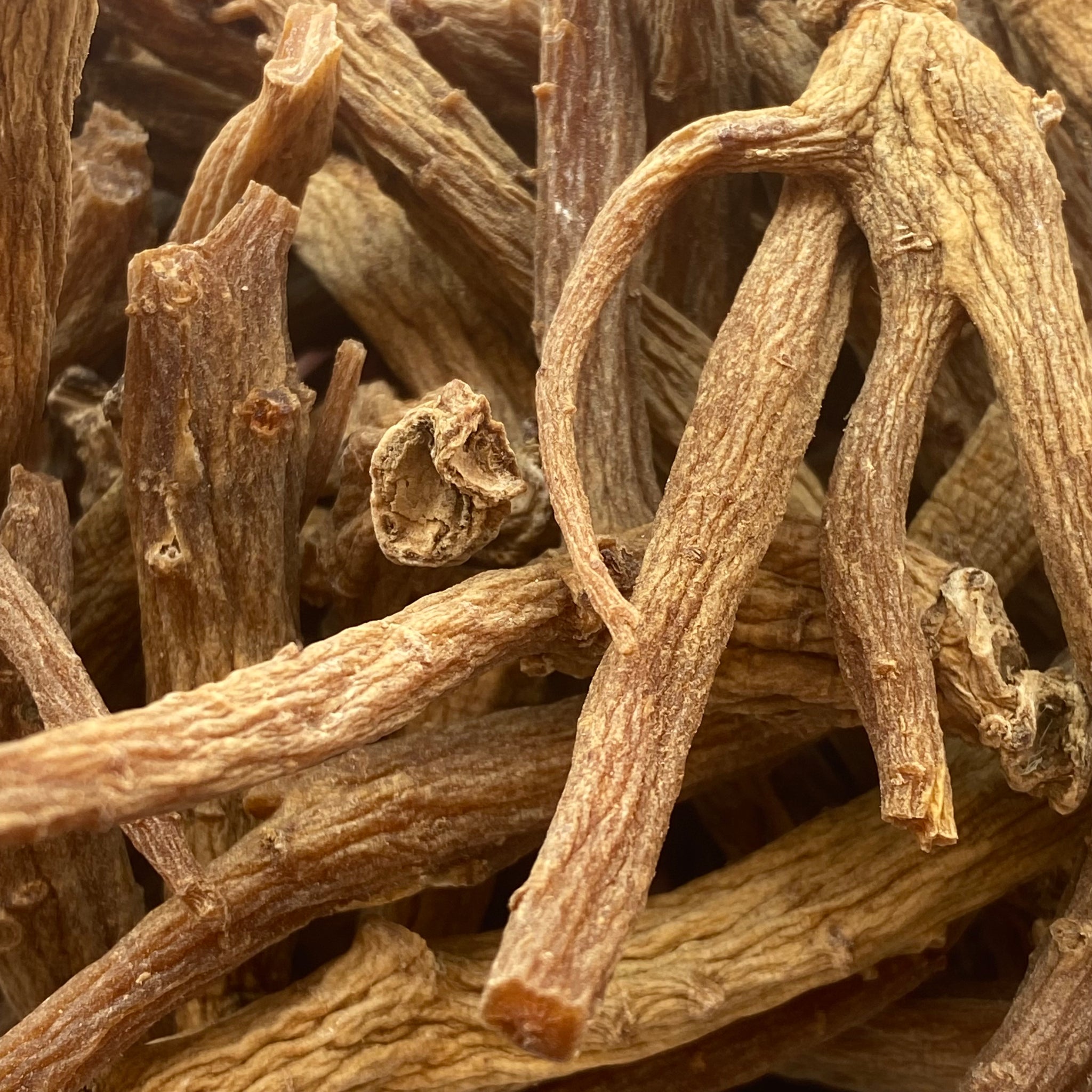 Ginseng Root, Red