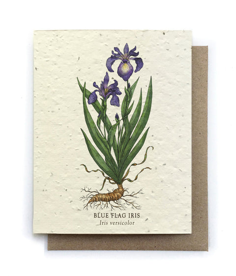 Plantable Greeting Card {Small Victories}