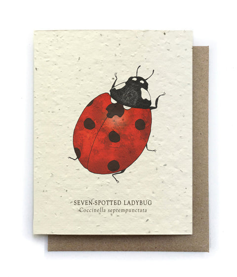 Plantable Greeting Card {Small Victories}