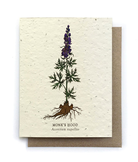 Plantable Greeting Card {Small Victories}